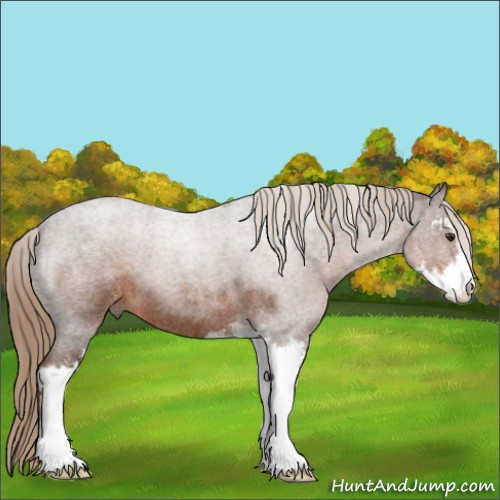Horse Color:Liver Red Roan Sabino 