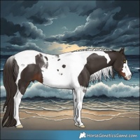 Horse Color:Liver Chestnut Tobiano