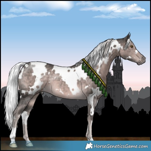 Horse Color:Platinum White Spotted Chocolate Palomino 