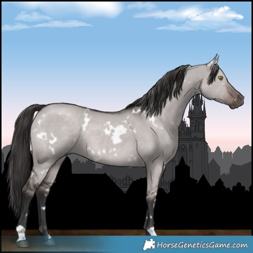Horse Color:Platinum White Spotted Liver Red Dun 