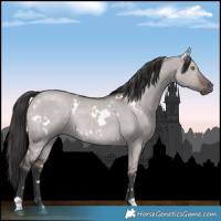 Horse Color:Platinum White Spotted Liver Red Dun