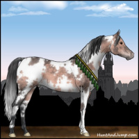 Horse Color:Platinum White Spotted Bay 