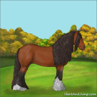 Horse Color:Buckskin Tobiano 