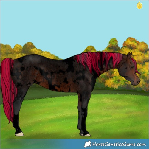 Horse Color:Void Painted White Spotted Brown Roan 