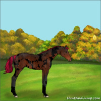 Horse Color:Void Painted White Spotted Brown Roan 
