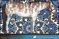 Horse Color:Brown Dun Sabino Frame 