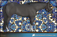 Horse Color:Black Tobiano 