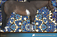 Horse Color:Brown Dun Tobiano 