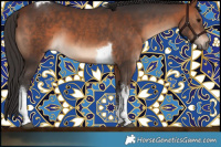 Horse Color:White Spotted Bay Tobiano 