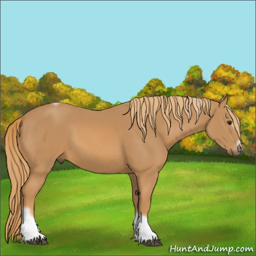 Horse Color:Chestnut Tobiano Frame 