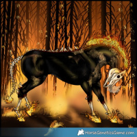 Horse Color:Void Silver Classic Cream Champagne Sabino Tobiano Frame Rabicano 