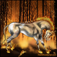 Horse Color:Gray Silver Sable Champagne Onyx Tobiano Frame Rabicano 