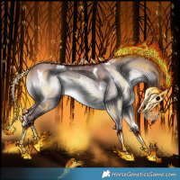 Horse Color:Gray Platinum White Spotted Chocolate Silver Buckskin Onyx Sabino Rabicano 