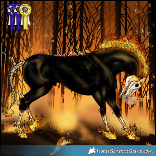 Horse Color:Void Brown Sabino Appaloosa 