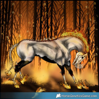 Horse Color:Void Bay Onyx Splash Rabicano