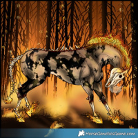 Horse Color:Void White Spotted Chocolate Buckskin Dun 