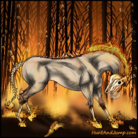 Horse Color:Red Dun Rabicano 