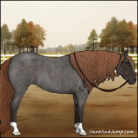 Horse Color:Liver Red Roan 