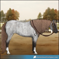 Horse Color:Liver Red Roan 