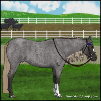 Horse Color:Liver Red Roan 