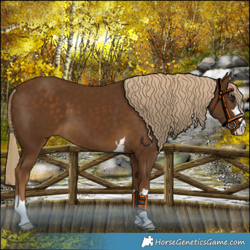 Horse Color:Chocolate Palomino 