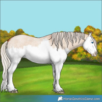 Horse Color:Silver Bay Roan Dun Splash 