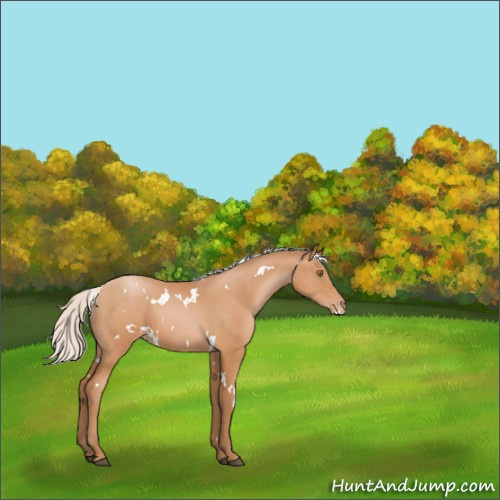 Horse Color:White Spotted Silver Brown Pearl 