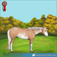 Horse Color:White Spotted Silver Brown Pearl 