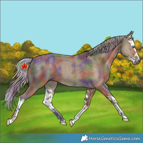 Horse Color:Nacre Silver Smoky Black Splash 