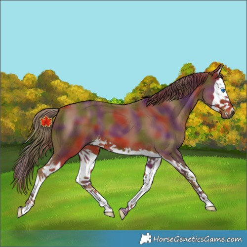 Horse Color:Nacre Chestnut Splash
