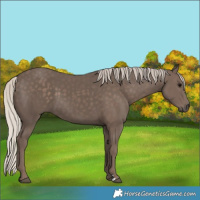 Horse Color:Silver Black 