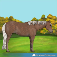Horse Color:Silver Black 