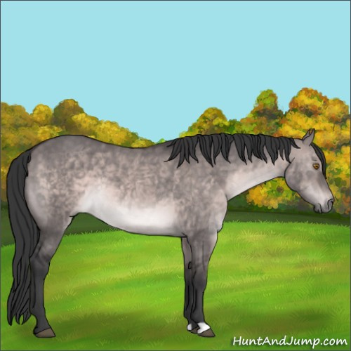 Horse Color:Platinum Brown Dun Rabicano 