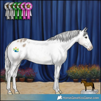 Horse Color:Silver Buckskin Roan Splash Appaloosa Rabicano  and Silver Grullo Splash Tobiano Appaloosa 