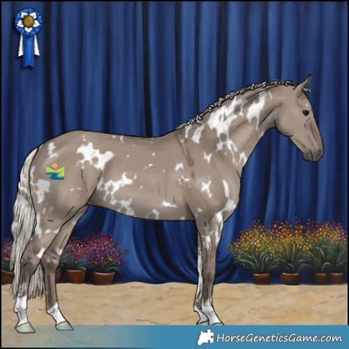Horse Color:White Spotted Silver Grullo 