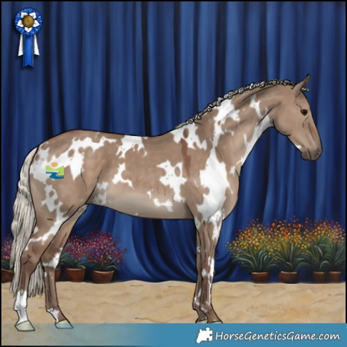 Horse Color:White Spotted Silver Grullo 