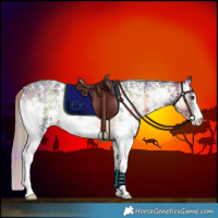 Horse Color:Nacre Liver Red Onyx Sabino 