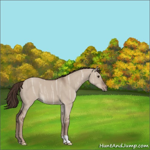 Horse Color:Liver Red Dun Ice 