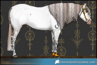 Horse Color:Bay Dun Near Fewspot 