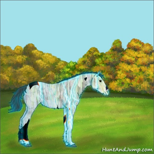 Horse Color:Thunderstruck Brown Ice Tobiano 