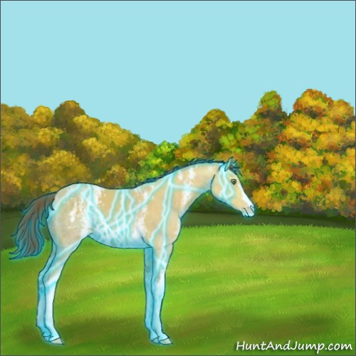 Horse Color:Thunderstruck White Spotted Amber Cream Champagne Ice 