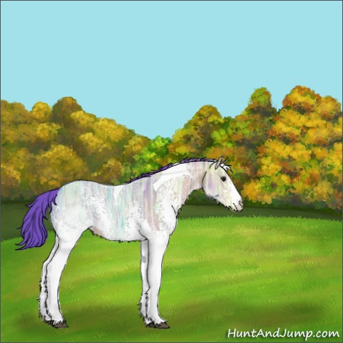 Horse Color:Watercolor White Spotted Brown Ice Tobiano 