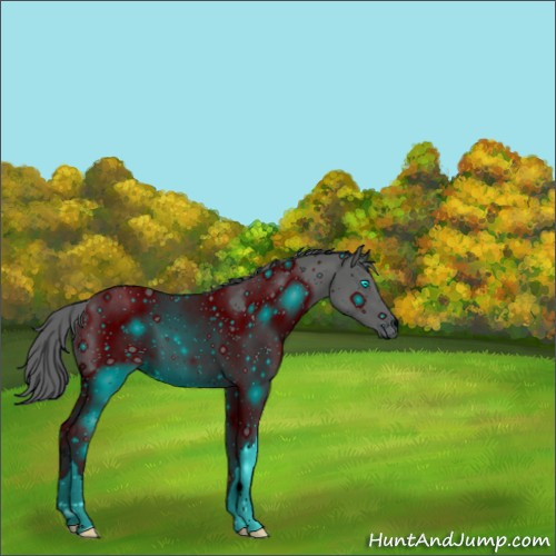 Horse Color:ERROR: UNKNOWN ANOMALY