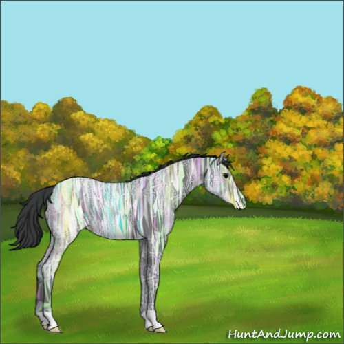 Horse Color:Blue Ice Roan 