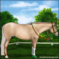 Horse Color:Gray Silver Sable Cream Champagne Roan Pearl Tobiano 