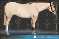 Horse Color:Buckskin Pearl Tobiano