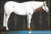 Horse Color:Liver Chestnut Tobiano Near Fewspot 