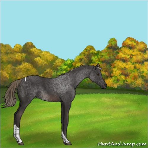 Horse Color:Liver Chestnut Mushroom Tobiano 