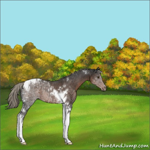 Horse Color:Liver Chestnut Mushroom Tobiano 
