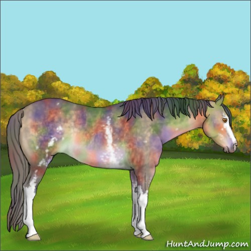 Horse Color:Nacre White Spotted Buckskin Dun Rabicano 